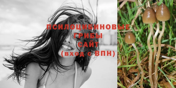 гашишное масло Аркадак